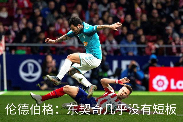 伦德伯格：东契奇几乎没有短板 面对他只能更加强硬并减少犯规