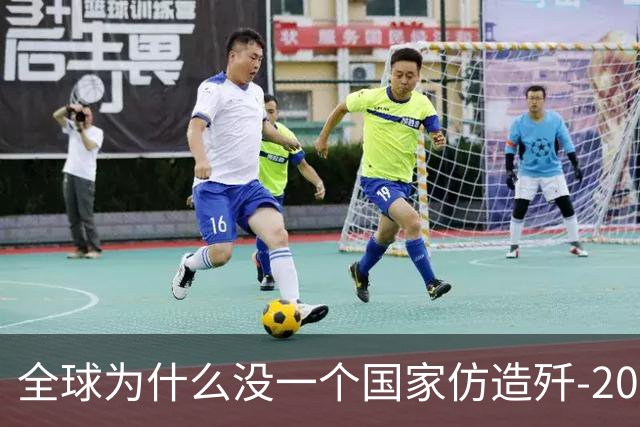 全球为什么没一个国家仿造歼-20，瑞典已破译！