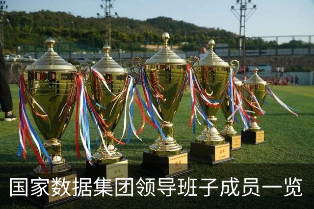 国家数据集团领导班子成员一览（附简历）