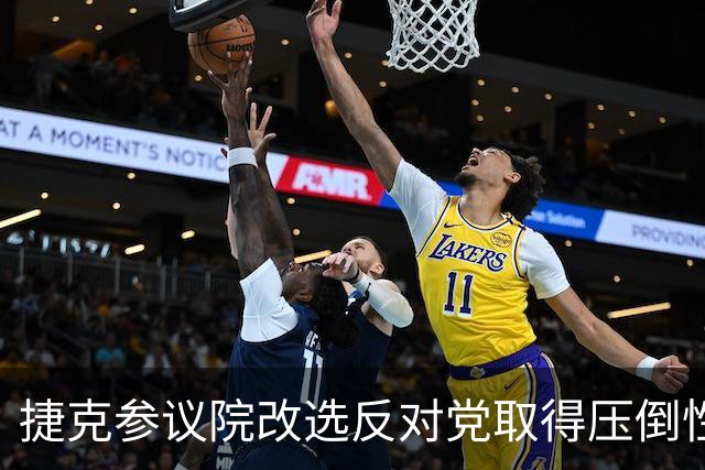 捷克参议院改选反对党取得压倒性胜利