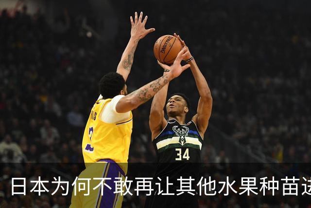 日本为何不敢再让其他水果种苗进入中国？别以为只是贸易摩擦。日本不愿放水果进中国，是因为被“偷家”偷怕了