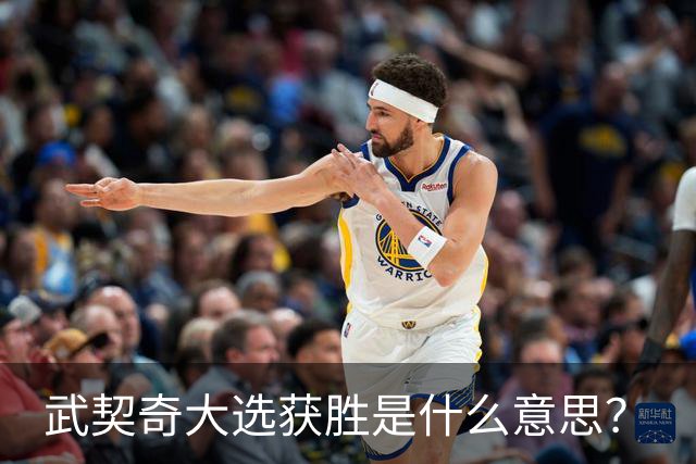 武契奇大选获胜是什么意思？